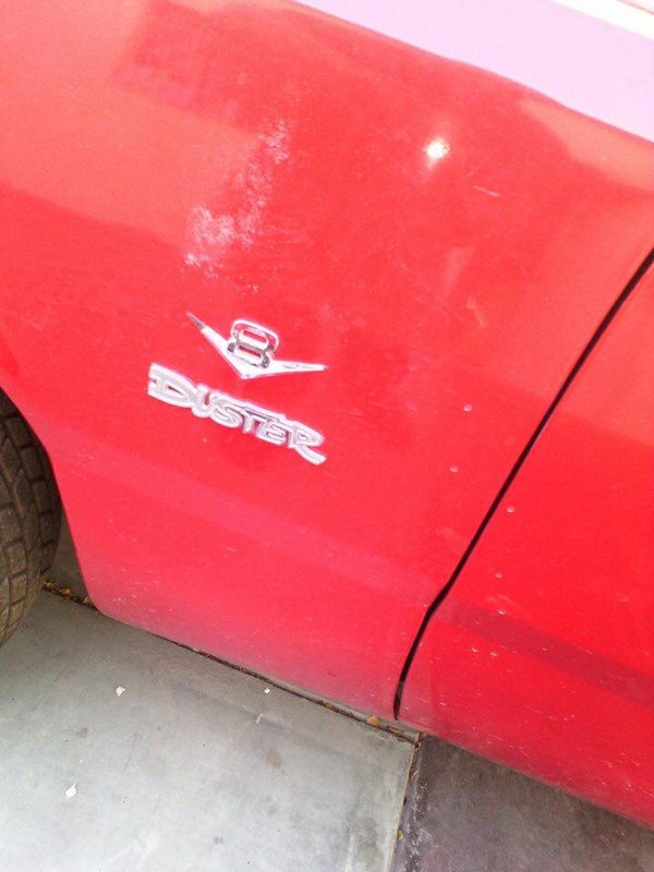 duster détail logo.jpg