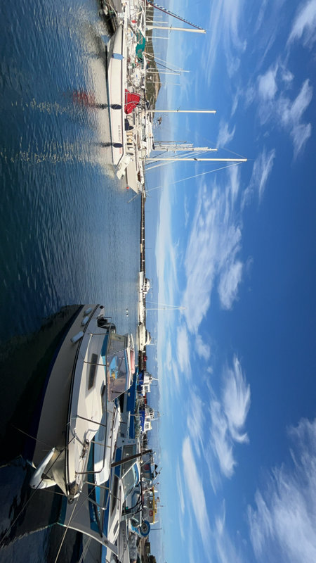 IMG_1223.jpeg