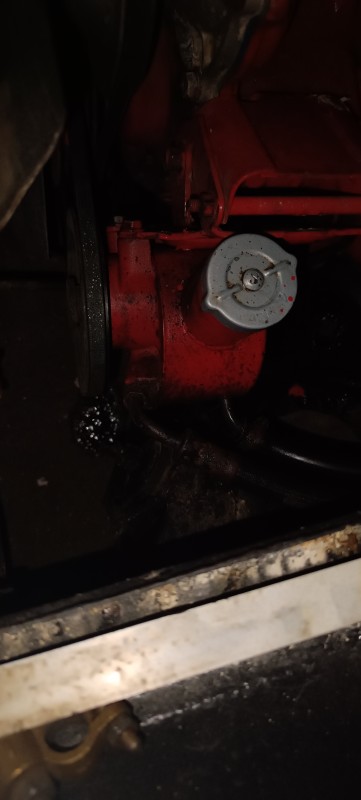 IMG_20260502_213153.jpg