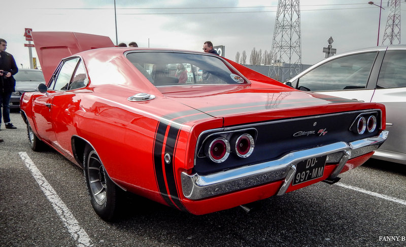 DSCN9588.jpg