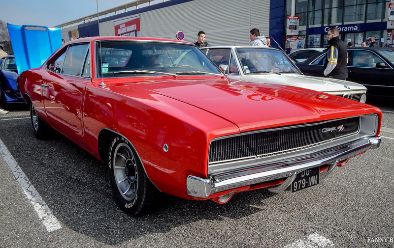 DSCN9618.jpg
