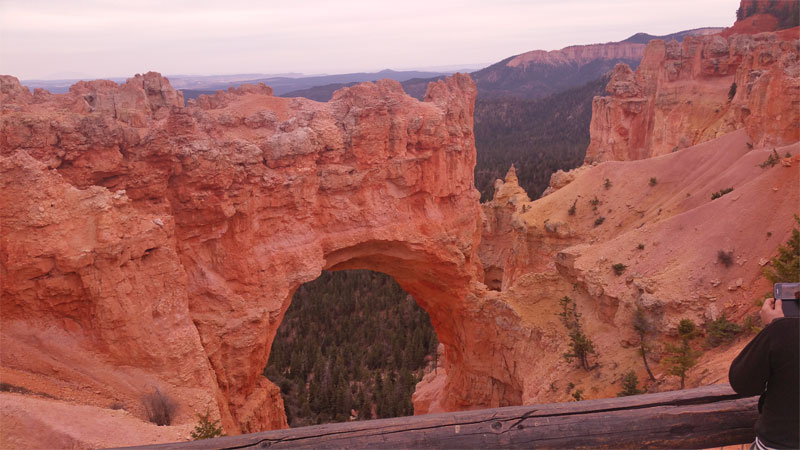 1-bryce3.jpg