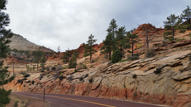 1-zion2.jpg