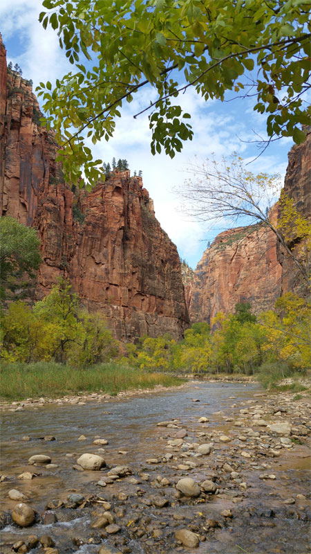 1-zion3.jpg