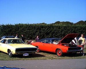 Image36.jpg